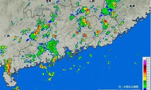 今天湛江怎么下了一天大雨_湛江今天下雨吗