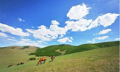 丰宁坝上草原旅游攻略2天_丰宁坝上草原旅游攻略