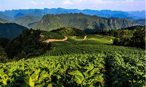 湖南张家界桑植天气预报_湖南张家界桑植天气预报7天