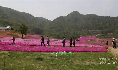 霍山陡沙河天气预报_霍山陡沙河天气预报今天