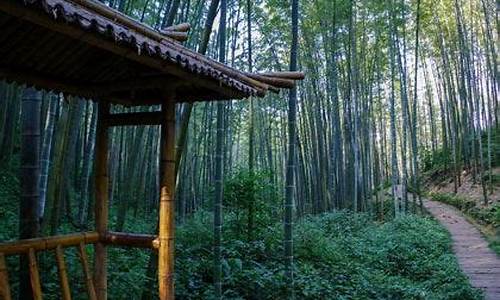 蜀南竹海天气预报一周 7天准确_蜀南竹海天气预报一周