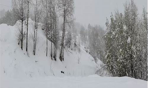 积石山天气_积石山天气预报15天气