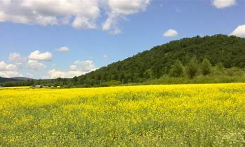 阿荣旗天气预报一周_阿荣旗天气预报一周查询