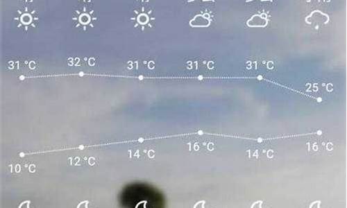 叶城天气预报30天查询结果_叶城天气预报一周7天查询