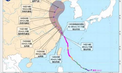 2o2l年台风_2022年台风预测最新