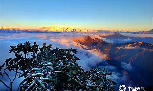 雅安牛背山天气预报_牛背山天气预报